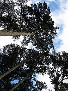 San Fran Vacation 144